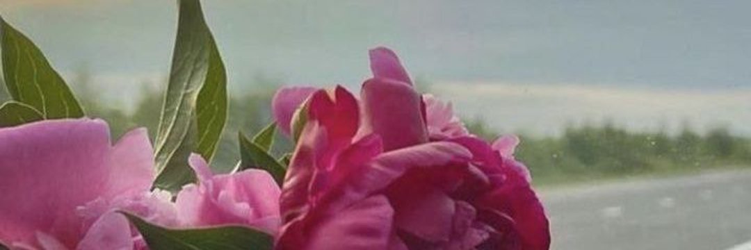 ZynbHsyn19017's profile banner image
