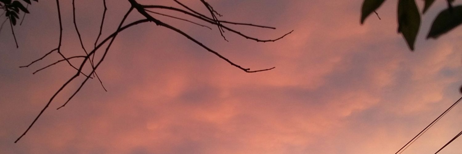 a_little_F's profile banner image