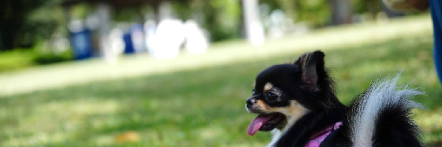 3988papa's profile banner image