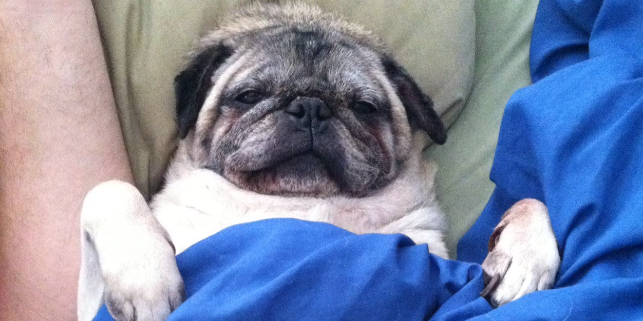 jerilee40's profile banner image