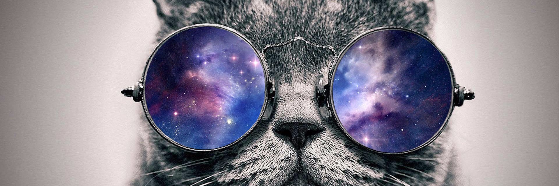 ilyaNeverSleeps's profile banner image