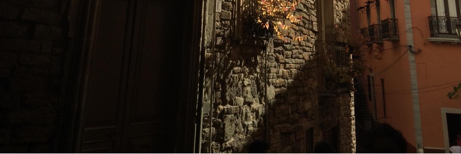 pdestivalis's profile banner image