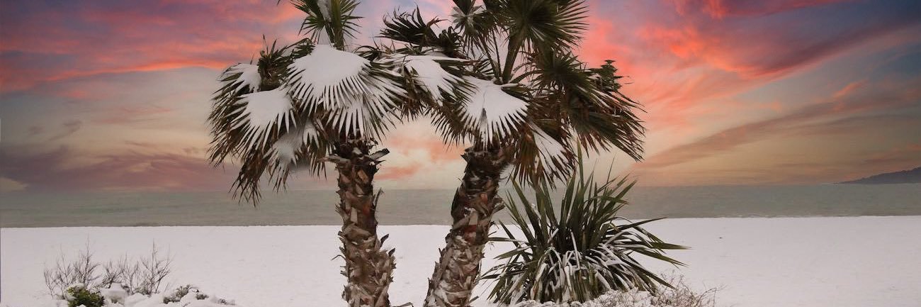 Brandonrum's profile banner image