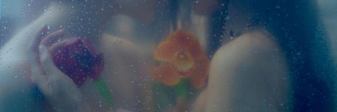 MoonTheFairy's profile banner image