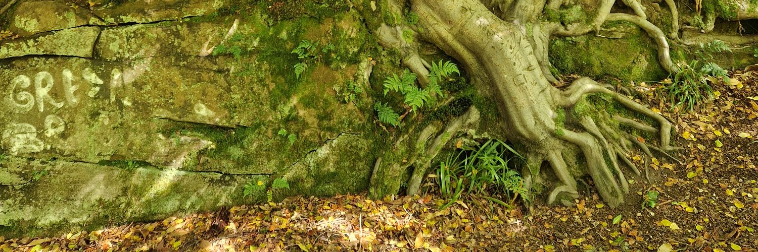 This_is_weirdly_fun banner