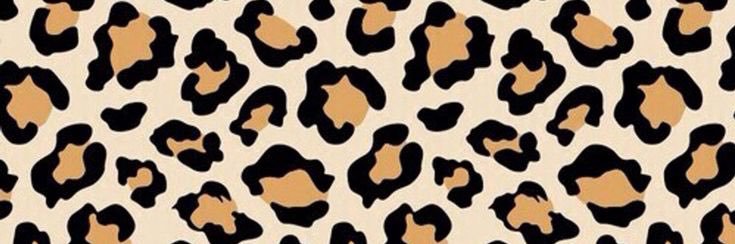 Megan Bush banner