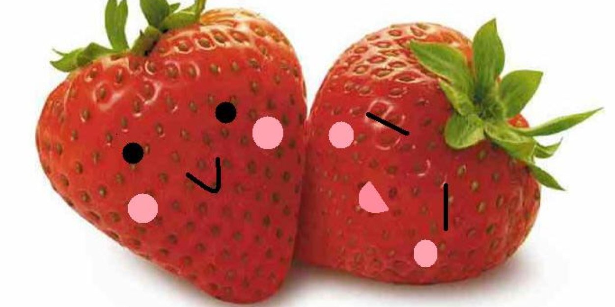 _fraiserp's profile banner image
