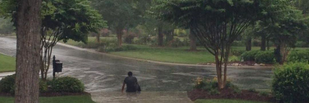 𓍢ִ໋🌷͙֒ ᰔᩚ banner