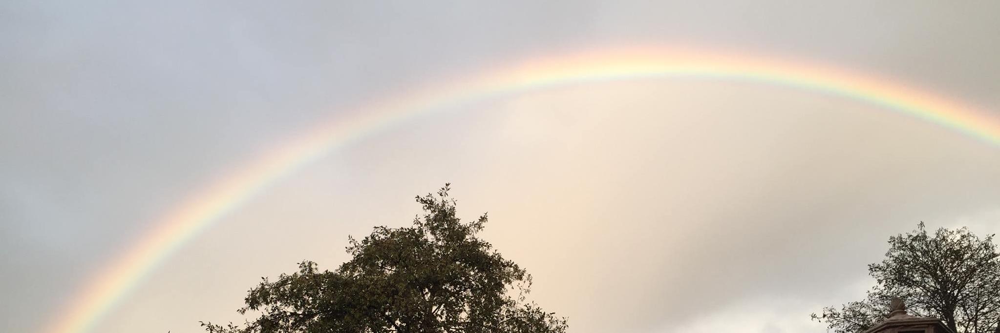 djhfl's profile banner image