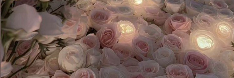 mi_na banner