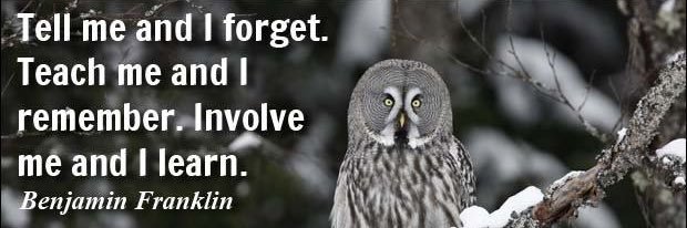 🗯️Angel🗯️ banner