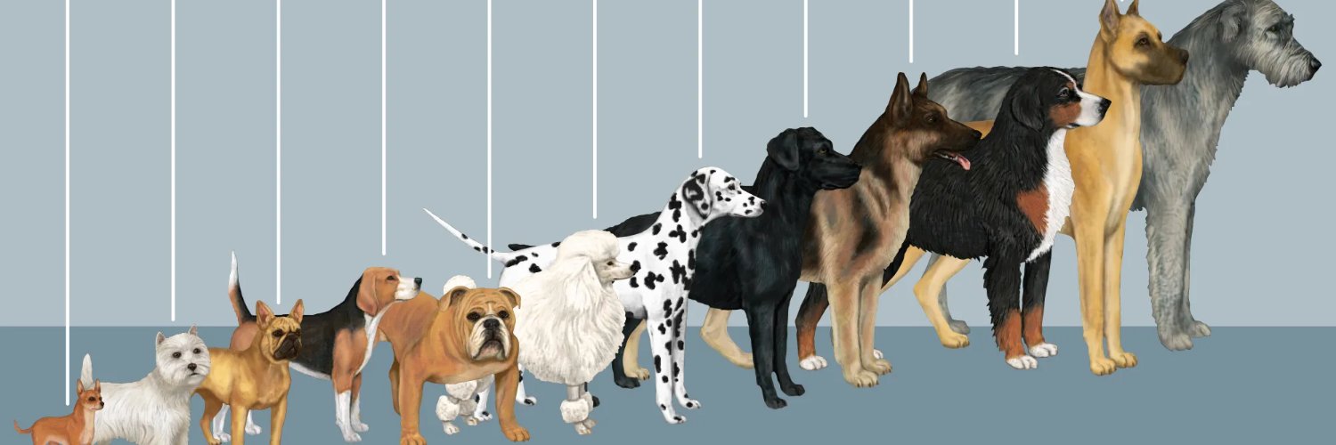 DogeSpurt banner