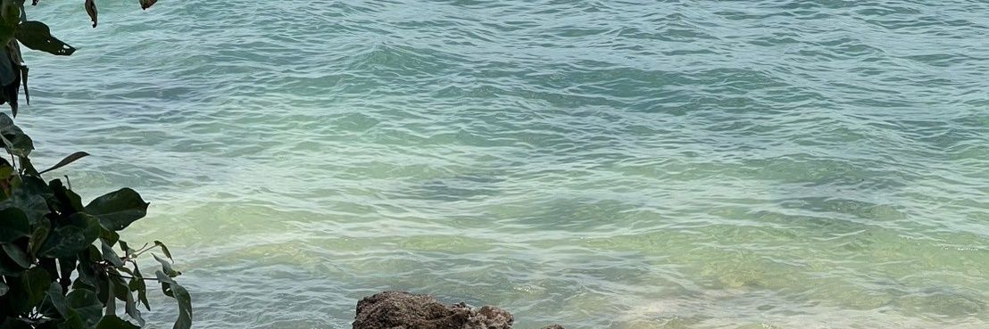1X2🦊's banner