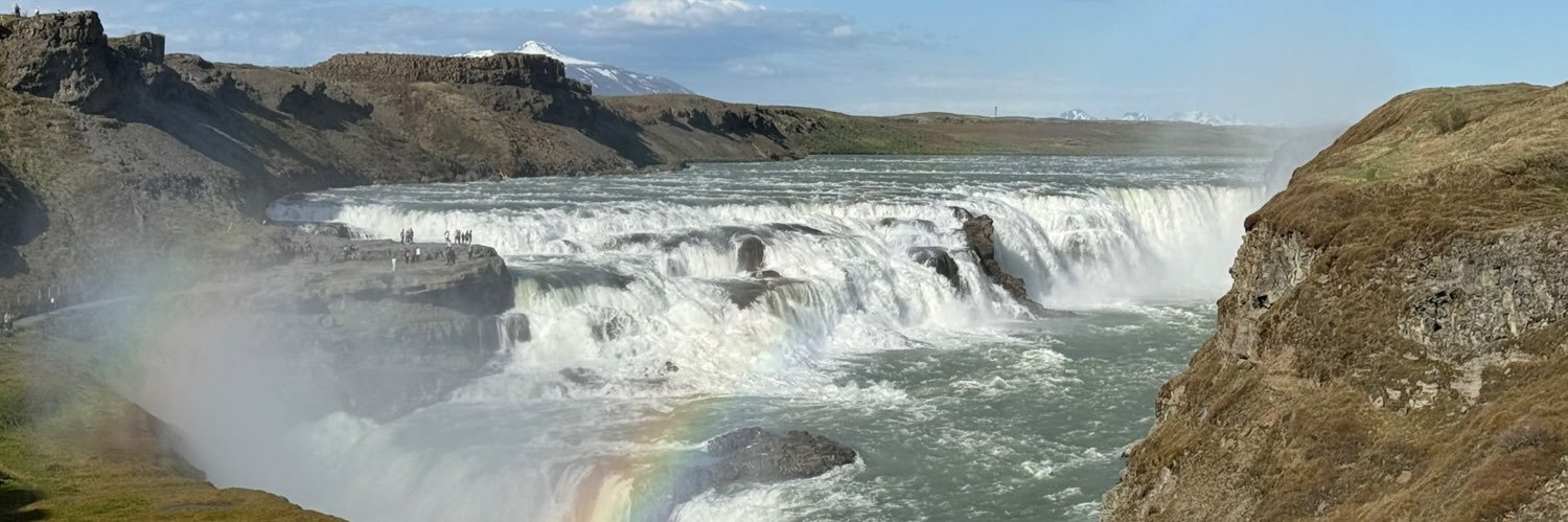 Mark Trachtenberg banner