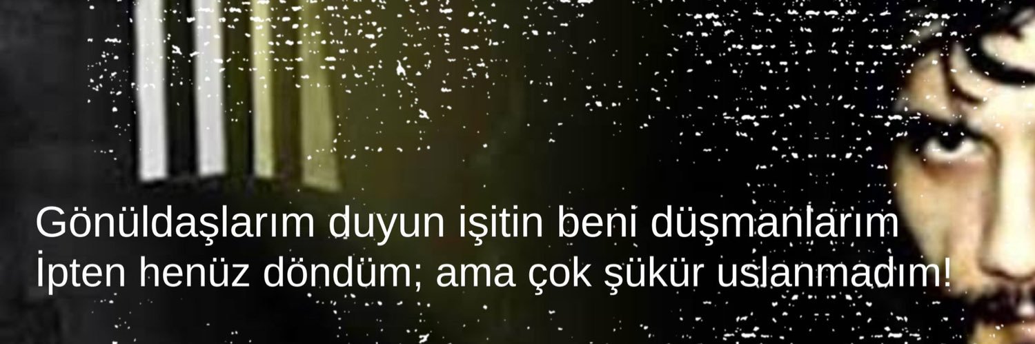 İbrahim Haceviç banner