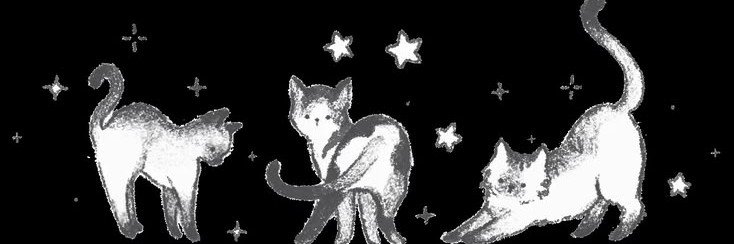 angelikcake's profile banner image