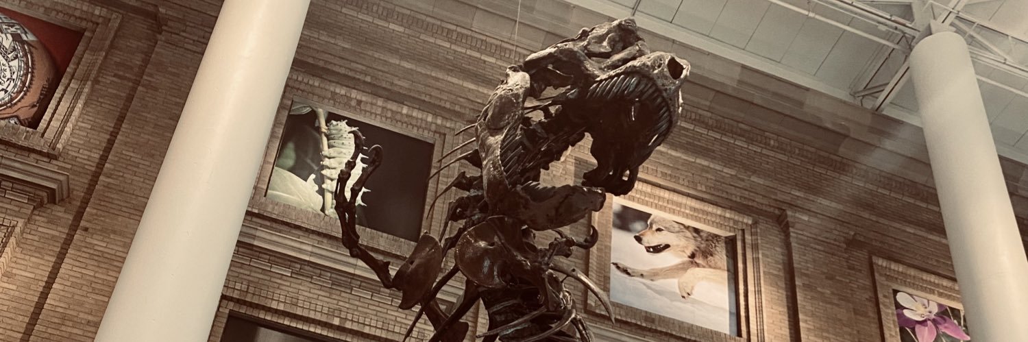 FaboVz's profile banner image