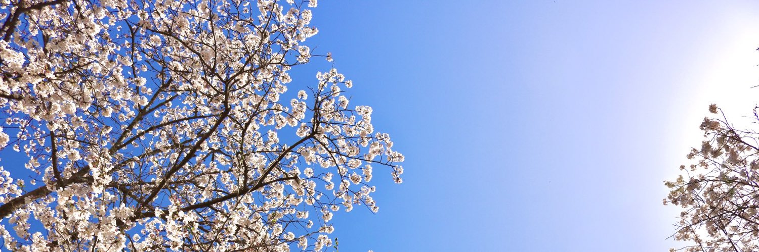 minaq1029's profile banner image