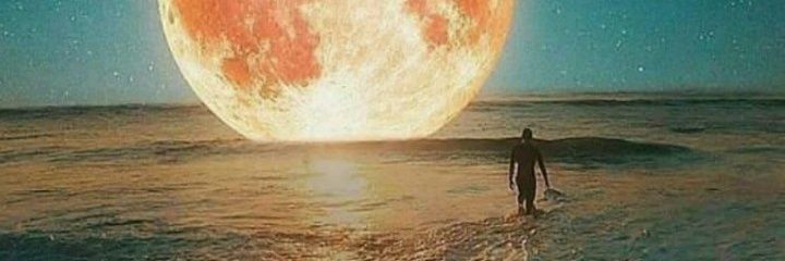Paamrochaa's profile banner image