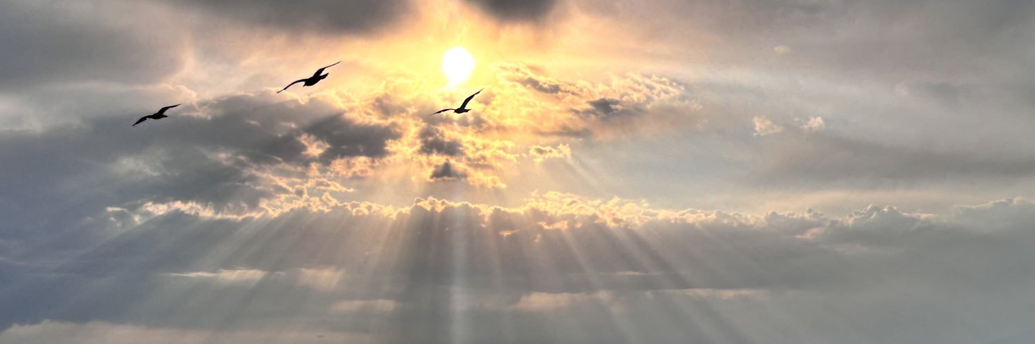 uyarbsar's profile banner image