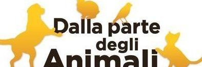 Claudio Conciarelli banner