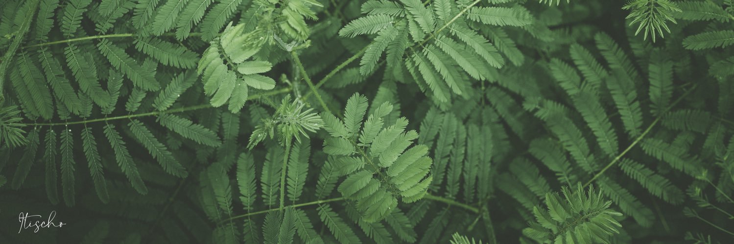 Haarun Taofeek banner