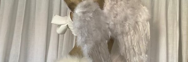 rosierpearl Profile Banner