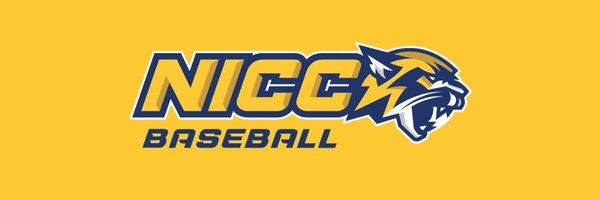 nicc_bsb Profile Banner