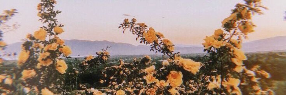 MayaraLuz_'s profile banner image