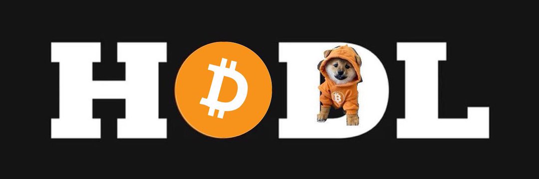 Rodrigo 🧡 $DOG's banner
