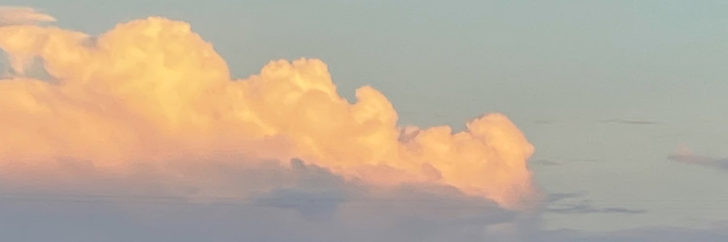 queenaleezy's profile banner image
