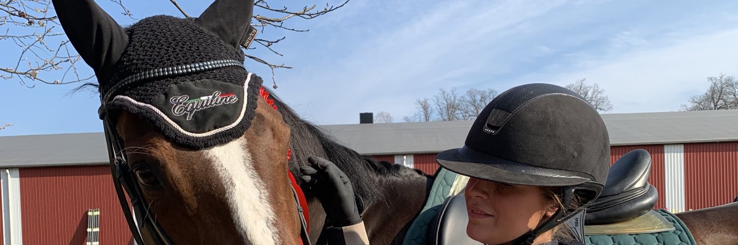 alvahellgren's profile banner image