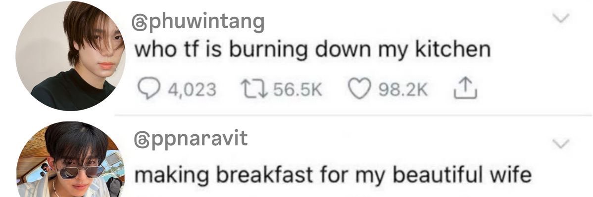 pond naravit (neo) banner