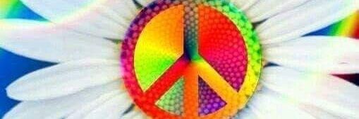 vikkimcallister's profile banner image