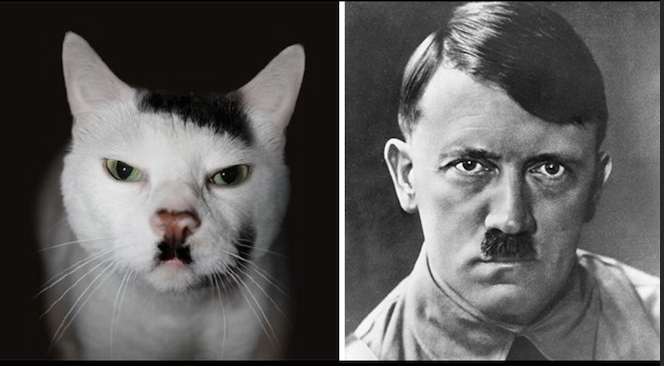 Adolf Kitler banner