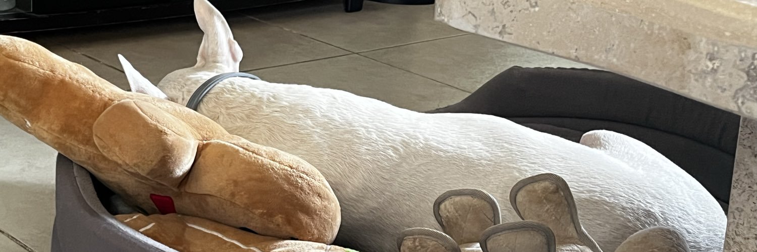 krysquirrel's profile banner image