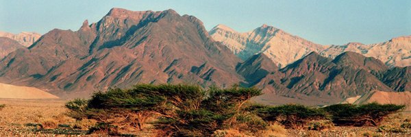 Aytzim's profile banner image