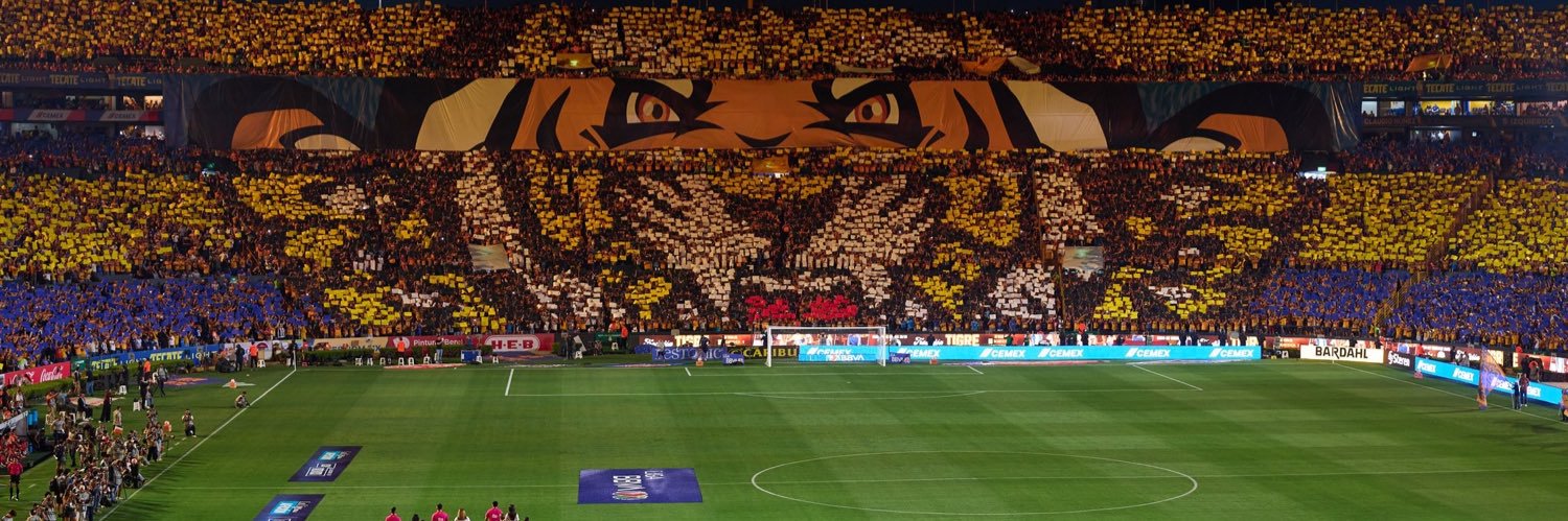 peekaboo(røm)🐯 banner