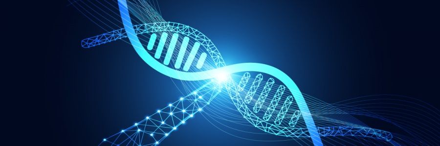 مشروع قبيلة الغيادين الجيني DNA banner