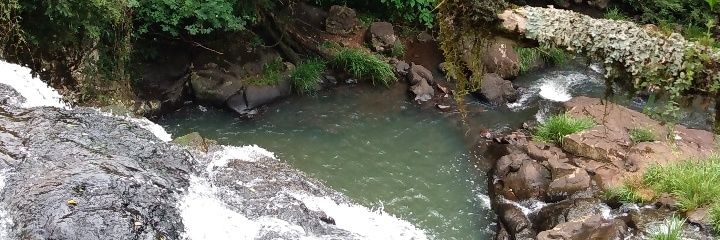 PedroIbarra_'s profile banner image