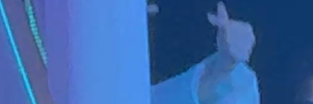 ⁻ ᴰᴵᴺᴼ 🦖_🔥 banner