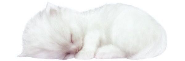mydchu Profile Banner