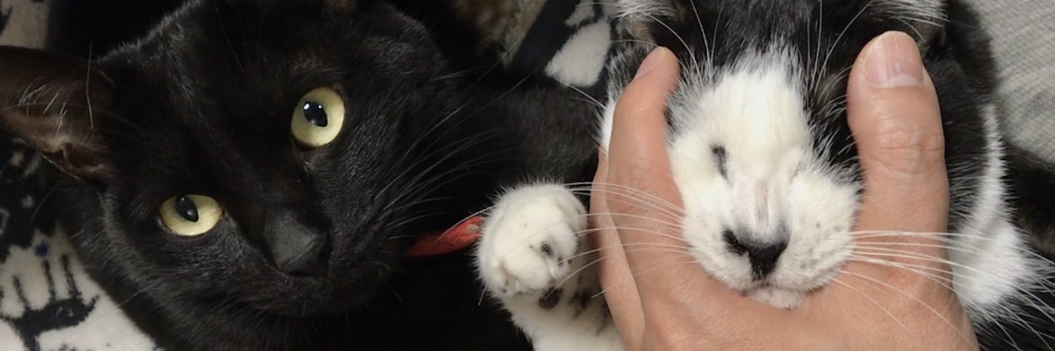 funbolt@お仕事募集中 banner