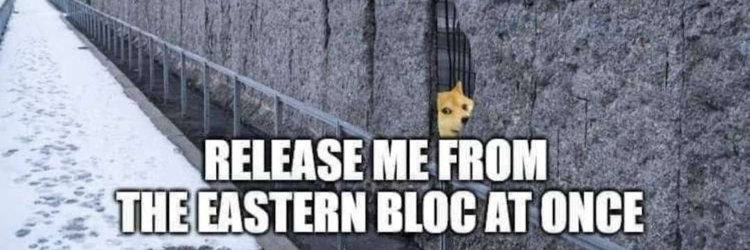 GonkFella, or GonkSmella? banner