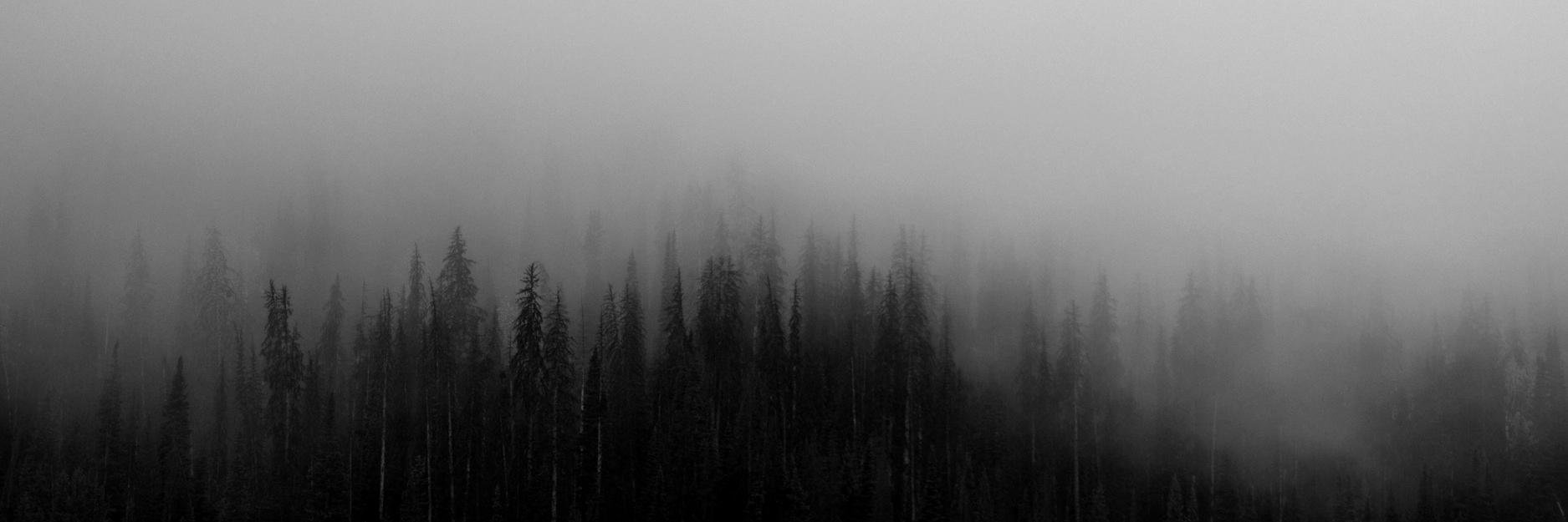saminstereo's profile banner image