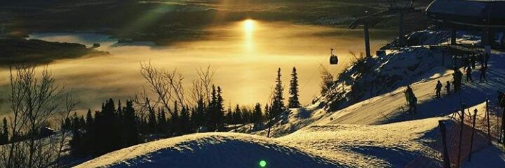 RLybecker's profile banner image