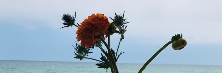 MLuciaCB's profile banner image
