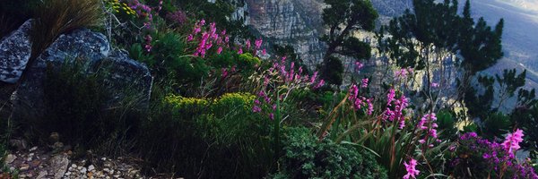 Andrew_Rens Profile Banner