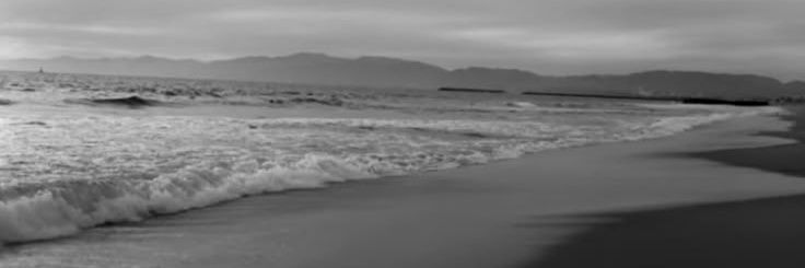 aal banner