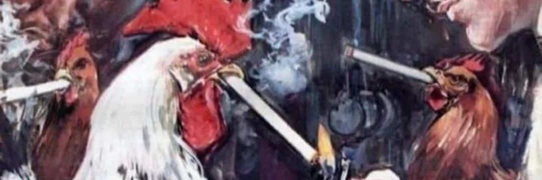 shonenlicha's profile banner image